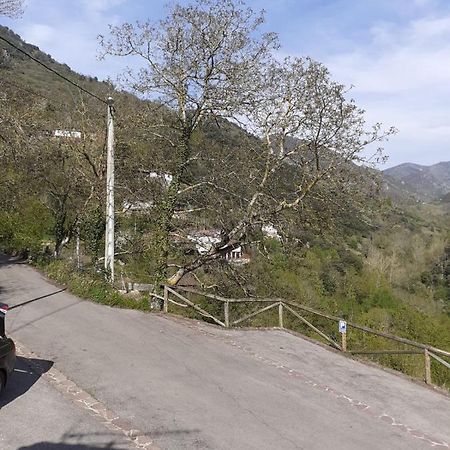 Aparatamento Rural El Oso 3 Pola de Somiedo Kültér fotó