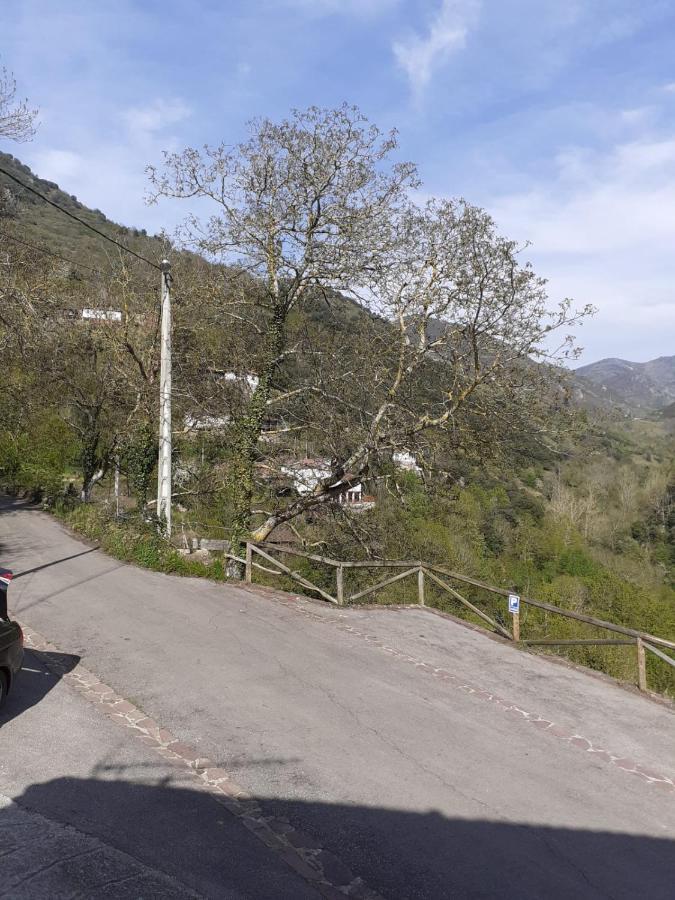 Aparatamento Rural El Oso 3 Pola de Somiedo Kültér fotó